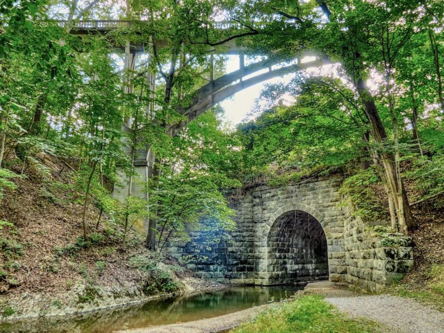 Вілла 5B Blue Ridge Grandeur-Vmi, Va Horse Center, Wlu Лексінгтон Екстер'єр фото